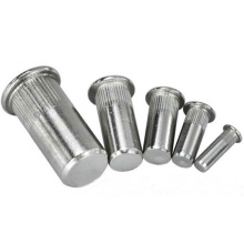 OEM Customized M6 M8 M10 Stainless Steel SS316 A4 Rivet Nut